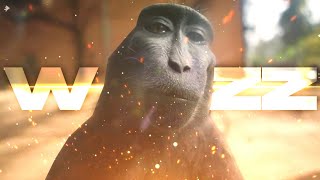 4K 2180p W Rizz Monkey 🙀  With music ‼️ [upl. by Asiilanna469]