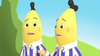 The Forgetful Bananas  Bananas in Pyjamas Season 2  Full Episodes  Bananas In Pyjamas [upl. by Maisey94]