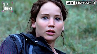 Blood Bath Cornucopia Massacre  The Hunger Games 4K UHD [upl. by Atinehc610]