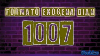 Como diligenciar formato 1007 información exógena DIAN TUTORIAL [upl. by Shellie]