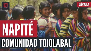 CÁPSULA Napité comunidad tojolabal en Chiapas México [upl. by Reviel316]