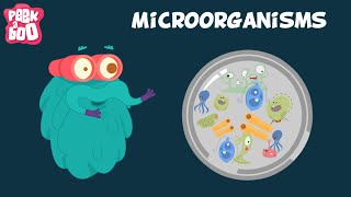 Microorganisms  The Dr Binocs Show  Educational Videos For Kids [upl. by Durkin]