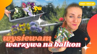 Ogródek warzywny na balkonie 🍅 wysiewam pomidory sadzę bratki 🌸 zaczynam sezon na warzywnik [upl. by Dihgirb455]