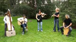 Irish Music  Traditional Irish musicLovely music by quotThe Ghillies quot César et Monique [upl. by Calderon27]