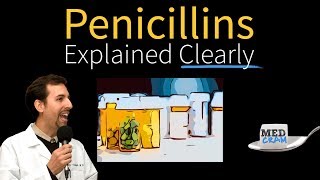 Penicillins  Antibiotics Explained Clearly [upl. by Eeznyl]