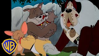 Tom amp Jerry  Best of Dogs 🐶❤️  Animals Month  Classic Cartoon Compilation  wbkids​ [upl. by Nnylassej]