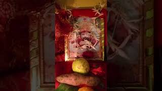 Jai shree shyam Ekadashi ki pavan parv par khatu shyam baba ke pujanjaishreeram [upl. by Novaat]