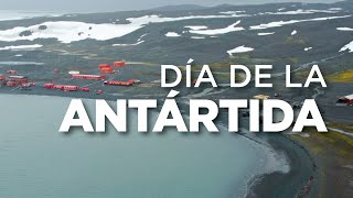 Celebremos el Día de la Antártida [upl. by Nyraf]