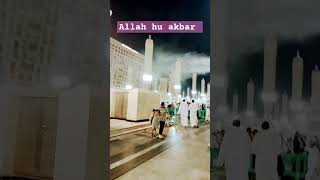 today 2024 Madina Sarif viral video short [upl. by Igig]