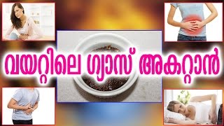 വയറ്റിലെ ഗ്യാസ് അകറ്റാൻ  VAYATTILE GAS AKKATTAN  Malayalam Health Tips [upl. by Econah]