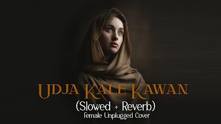 Udd Ja Kaale Kanwan  Slowed  Reverb  Female Unplugged Cover  Namita Choudhary  Gadar [upl. by Armmat405]