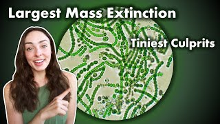 The Time Bacteria Caused The Largest Extinction Event Ever GEO GIRL [upl. by Stauder]