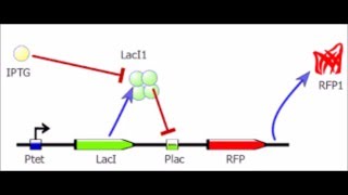 Biotecnología Vectores de clonación [upl. by Nehgem]