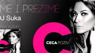 Ceca  Ime i prezime Sukas Club Remix 2013 [upl. by Ahsats]