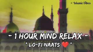 Heart Touching Naat Sharif 2023  Lofi slowed and reverb Best Naat 2024 Beautiful Naat Sharif [upl. by Anaderol557]