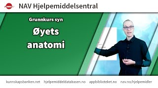 Grunnkurs syn Øyets anatomi [upl. by Victoir]