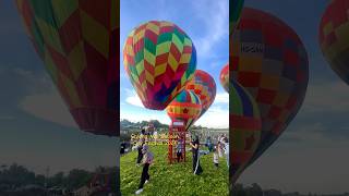 ChiangMai Balloon City Festival 2024 shotrs shortvideo shortsfeed [upl. by Tinor]