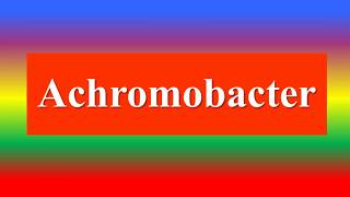 Achromobacter [upl. by Innor]