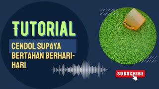 Tutorial cara menyimpan cendol supaya tidak basi [upl. by Zertnom535]