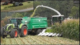 Maisernte mit Pflücker  Claas Jaguar 950  Claas Axion 930  Claas Xerion 3800 Trac VC [upl. by Elledoj]