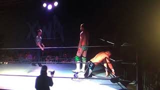 Perry Von Vicious vs Brett Domino shaky fan cam [upl. by Nirual825]