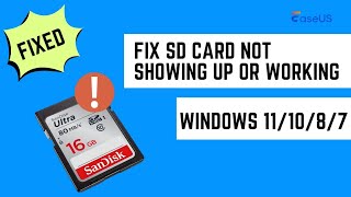 Fehlerbehebung SDKarte wird in Windows nicht angezeigt oder funktioniert nicht unter Windows [upl. by Grant706]