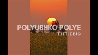 Little Big  Polyushko Polye slowed [upl. by Steffen]