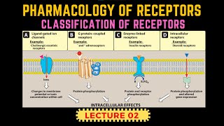 Types of Receptors  Receptors Pharmacology Part 2  GProtein Receptor By Muneeb [upl. by Mord]