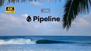 Pipeline Replay in 4K UltraHD  Dec 22 2022 Morning Session [upl. by Eiramaneet895]