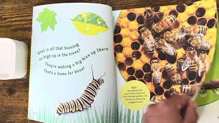 The Backyard Bug Book for Kids  A Read Aloud by Mrs Eves [upl. by Undis]