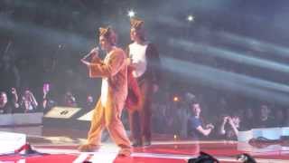 What Does the Fox SayYlvis live [upl. by Hploda]