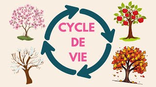 Comprendre les transitions de vie avec la roue de Frédéric Hudson Développement personnel [upl. by Lyrem356]