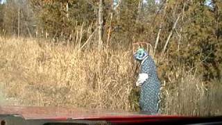 Nancy Today Harvesting red osier Dogwood [upl. by Ayanahs]