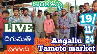 November 19 2024అంగల్లు టమోట మార్కెట్ Angallu tamotoprice today toplive sayyadshahataj2000 [upl. by Bbor]