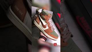 Air Jordan 1 High Element Goretex Legend Coffee DB2889102 [upl. by Lerraf]