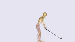 Golf swing motion analysis using C3D file [upl. by Ratha376]