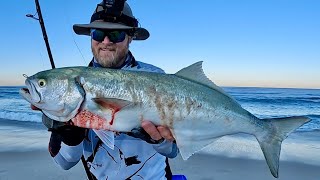 Casting the surf gutters for tailor Catch amp Clean [upl. by Etolas]