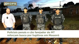 Policiais penais e cão farejador do MT reforçam busca por fugitivos em Mossoró [upl. by Htinek]