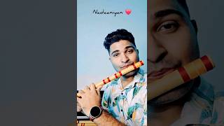 Nadaaniyan ❤️ Heart Touching Flute Version flute music flutemusic naadaniyan shorts [upl. by Airdnal]