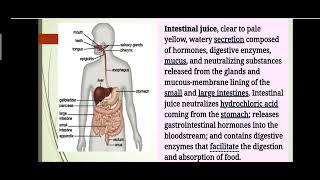 Digestive glandsFunction of digestive glands Lesson 9Food and digestion [upl. by Wolfie]