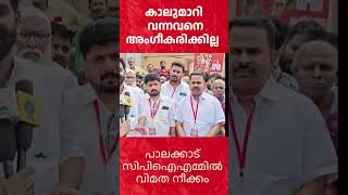 Rahul mamkootathil 🔥 Palakkadu🔥🔥 Cpm Palakkad Rahul gandhi Rahulmamkoottathil pinarayvijayan [upl. by Oiramrej]