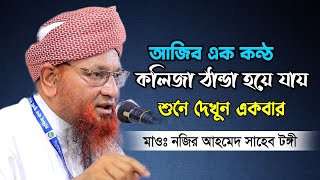 ইসলামিক যে ঘটনাগুলো শুনলে কান্না চলে আসে  Nazir Ahmed Waz 2023  মাওলানা নজির আহমদ টঙ্গী [upl. by Madge129]