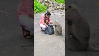 Langur ji bag mein kya hai langur [upl. by Llennod]