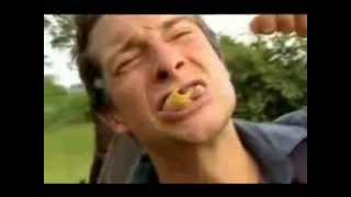 Rhino Beetle Larvae Verbally Assaults Bear Grylls [upl. by Aisatal334]