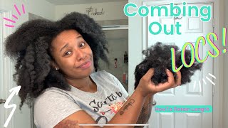 Combing Out Locs After 1 Year  How to Retain Length NO CUTTING  Minimal Shedding locjourney [upl. by Sivie136]