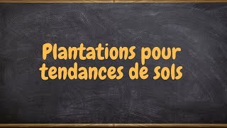 Plantations pour tendances de sols [upl. by Areval650]