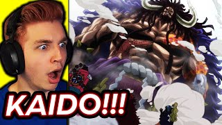 KAIDO REVEALED PEAK ANIME one piece reaction [upl. by Tillo]