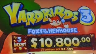 “YARDBIRDS 3” First Try Over 100X My Bet Won slots casino powercoupleslots yardbirds [upl. by Ivers]