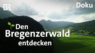 Urlaub und Wandern im unbekannten Bregenzerwald  CheeseTrail  Architektur  Freizeit  Doku  BR [upl. by Service]