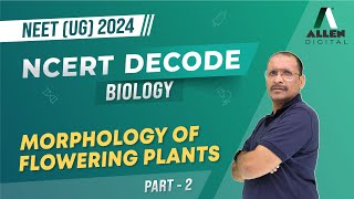 Morphology Of Flowering Plants Part2  Important for NEET 2024 Exam 📚Biology NCERT Decode [upl. by Willamina992]